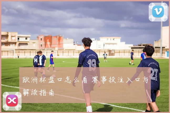 欧洲杯盘口怎么看 赛事投注入口与解读指南