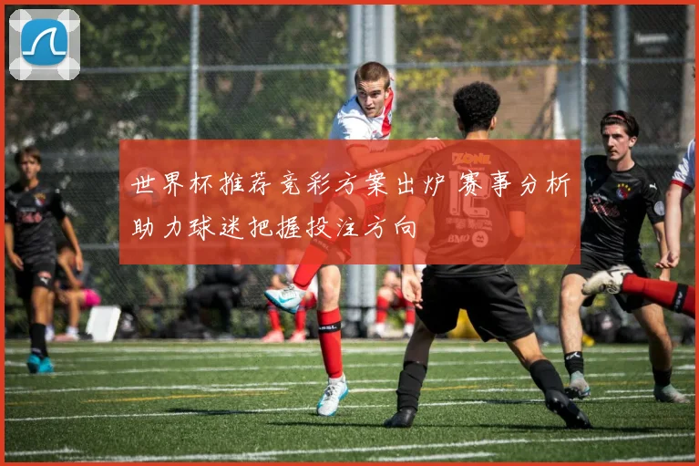世界杯推荐竞彩方案出炉 赛事分析助力球迷把握投注方向