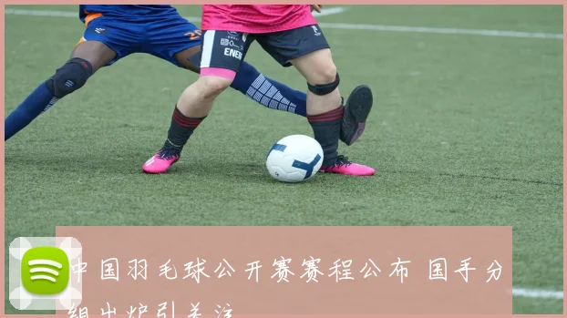 中国羽毛球公开赛赛程公布 国手分组出炉引关注