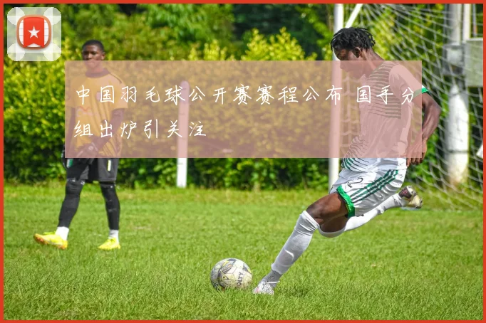 中国羽毛球公开赛赛程公布 国手分组出炉引关注